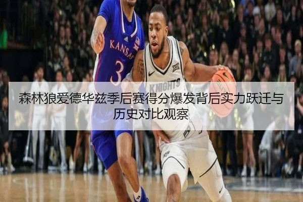 森林狼爱德华兹季后赛得分爆发背后实力跃迁与历史对比观察